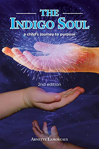 The Indigo Soul A Child's Journey To Purpose [Paperback]