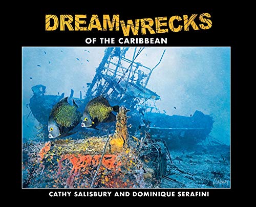 Dreamwrecks Of The Caribbean