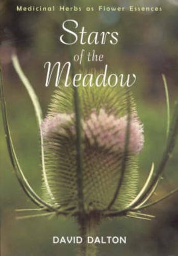 Stars Of The Meadow Exploring Medicinal Herbs As Flower Essences [Paperback]