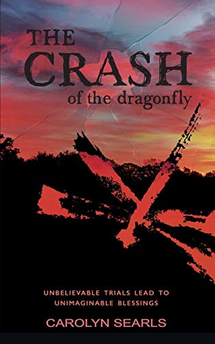 Crash of the Dragonfly  Unbelievable Trials Lead to Unimaginable Blessings [Paperback]