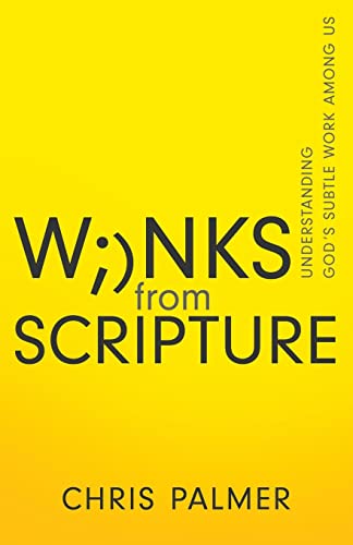 Winks from Scripture Understanding Gods Subtle Work Among Us [Paperback]