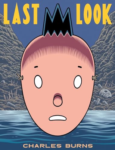 Last Look [Paperback]