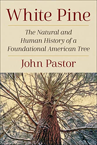 White Pine The Natural and Human History of a Foundational American Tree [Paperback]