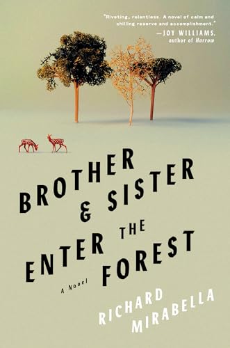 Brother &amp Sister Enter the Forest A Novel [Hardcover]