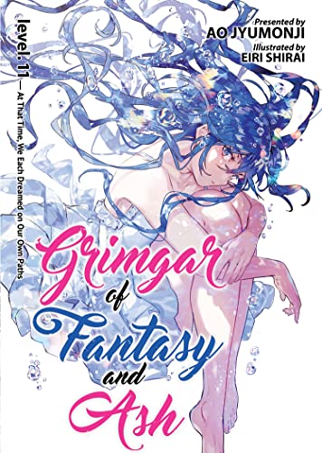 Grimgar of Fantasy and Ash (Light Novel) Vol. 11 [Paperback]