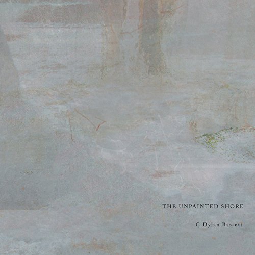 The Unpainted Shore [Paperback]