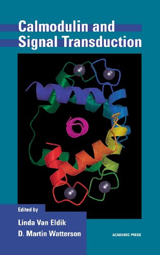 Calmodulin and Signal Transduction [Hardcover]