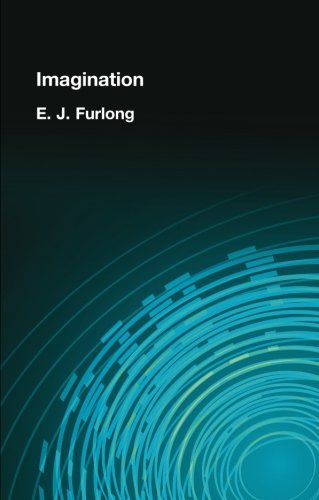 Imagination [Paperback]