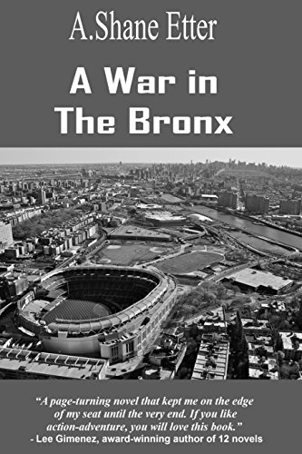 A War In The Bronx [Paperback]