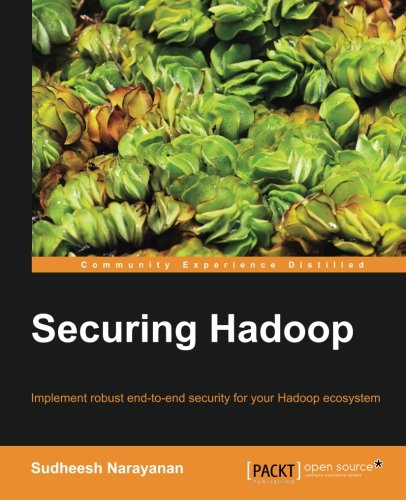 Securing Hadoop [Paperback]