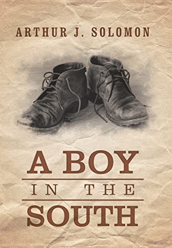 Boy in the South [Hardcover]