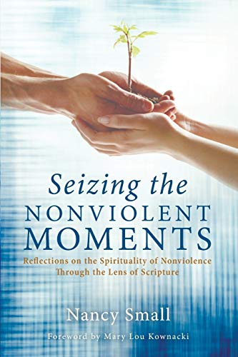 Seizing The Nonviolent Moments Reflections On The Spirituality Of Nonviolence T [Paperback]