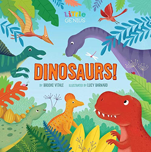Little Genius Dinosaurs [Board book]