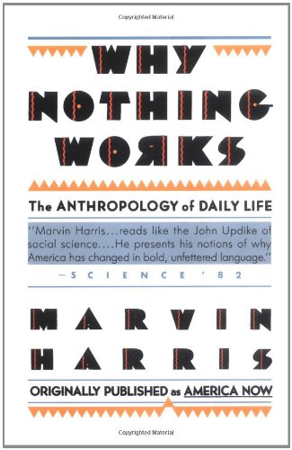 Why Nothing Works The Anthropology of Daily Life [Paperback]