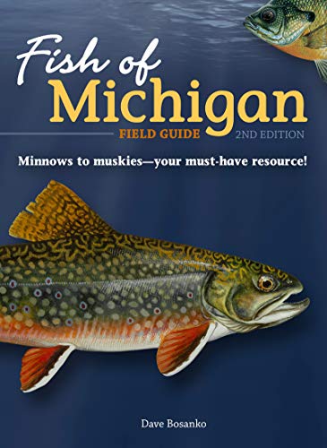 Fish of Michigan Field Guide [Paperback]