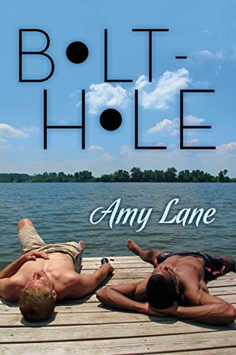 Bolt-hole [Paperback]