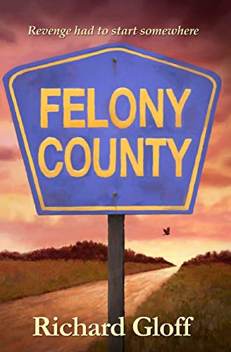 Felony County [Paperback]