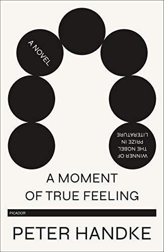 A Moment of True Feeling A Novel [Paperback]