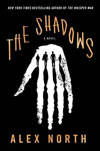 The Shadows A Novel [Paperback]
