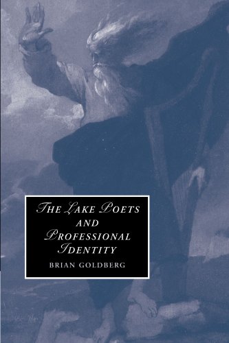 The Lake Poets and Professional Identity [Paperback]
