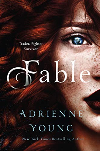 Fable A Novel [Hardcover]