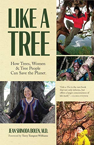 Like a Tree How Trees, Women, and Tree People Can Save the Planet (Ecofeminism, [Paperback]