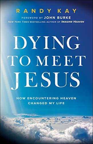 Dying To Meet Jesus                      [TRADE PAPER         ]