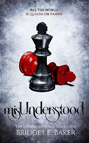 MisUnderstood [Paperback]