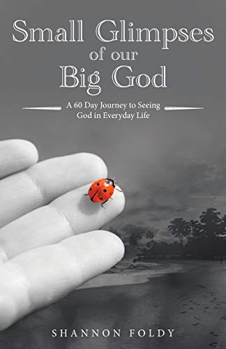 Small Glimpses of Our Big God  A 60 Day Journey to Seeing God in Everyday Life [Paperback]