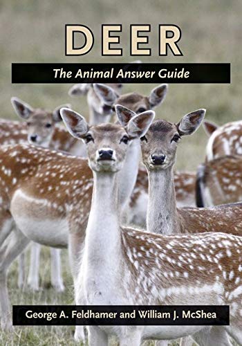 Deer The Animal Answer Guide (the Animal Answer Guides Q&a For The Curious Nat [Paperback]
