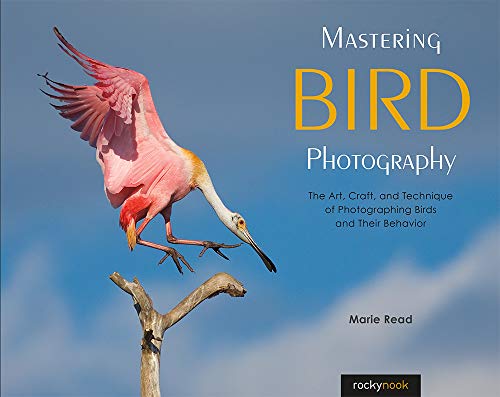 Mastering Bird Photography The Art, Craft, and Technique of Photographing Birds [Paperback]