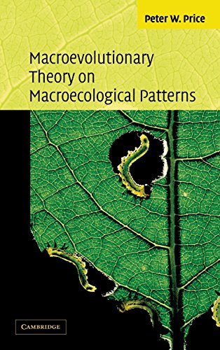 Macroevolutionary Theory on Macroecological Patterns [Hardcover]