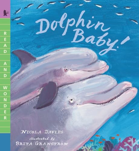 Dolphin Baby Read and Wonder [Paperback]