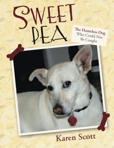 Sweet Pea The Homeless Dog Who Could Not Be Caught [Paperback]