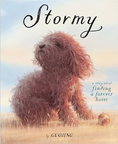 Stormy A Story About Finding a Forever Home [Hardcover]