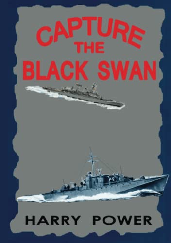 Capture the Black Swan [Paperback]