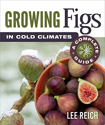 Growing Figs in Cold Climates A Complete Guide [Paperback]