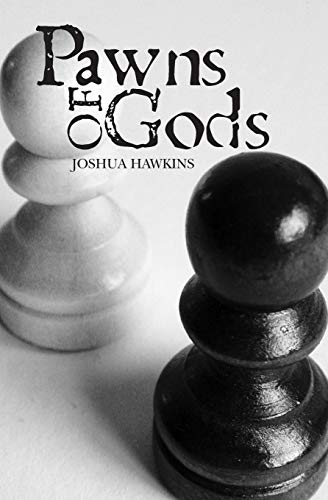 Pawns Of Gods [Paperback]
