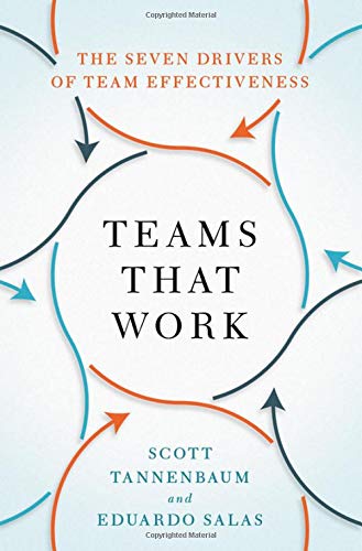 Teams That Work: The Seven Drivers of Team Effectiveness [Hardcover]