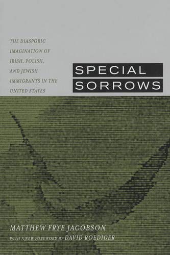 Special Sorrows The Diasporic Imagination of Irish, Polish, and Jewish Immigran [Paperback]