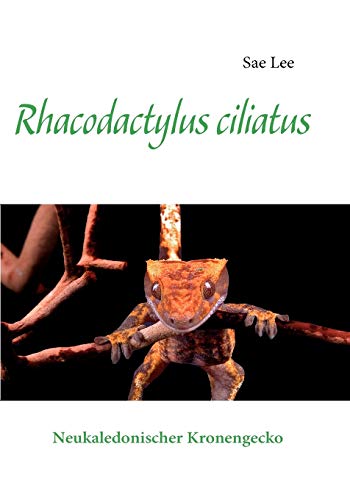 Rhacodactylus ciliatus  Neukaledonischer Kronengecko [Paperback]