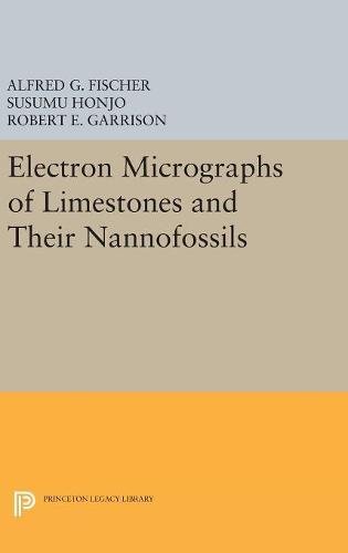Electron Micrographs of Limestones and Their Nannofossils [Hardcover]