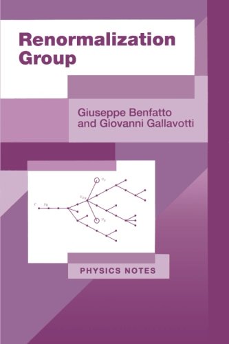 Renormalization Group [Paperback]