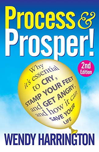 Process And Prosper 2nd Edition [Paperback]