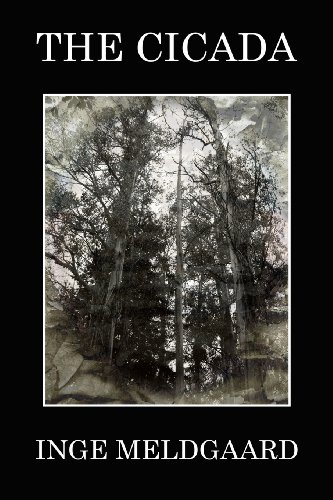 The Cicada [Paperback]
