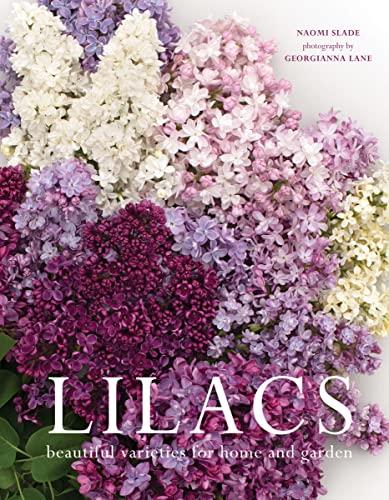 Lilacs                                   [CLOTH               ]