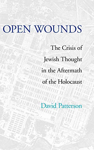 Open Wounds The Crisis Of Jewish Thought In The Aftermath Of The Holocaust (pas [Hardcover]