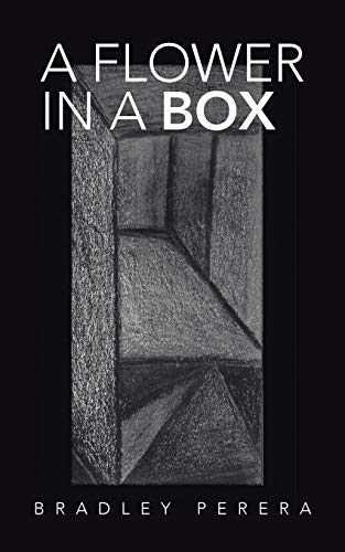 A Flower In A Box [Paperback]