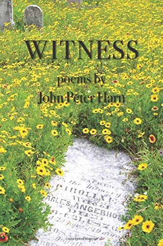Witness [Paperback]