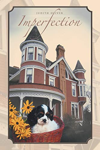 Imperfection [Paperback]